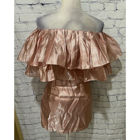 NWT Choosy Copper Rose Organza Dress - NWT Pink Shimmer - Size XS - Picture 5 of 8